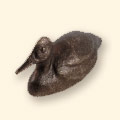 Canvasback Bronze Duck