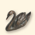 Mute Swan