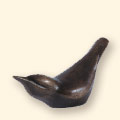 Nuthatch