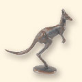 kangaroo