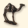camel