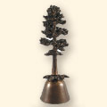conifer bell