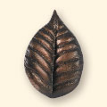 birch pull